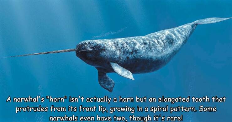 Morning Picdump Morning Picdump