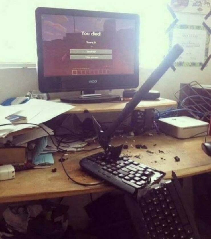 Morning Picdump Morning Picdump