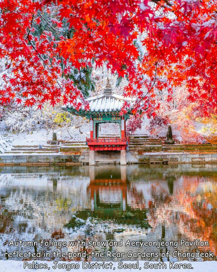 Morning Picdump Morning Picdump