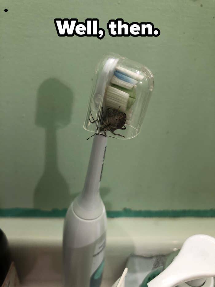 Someone Is Having A Bad Day