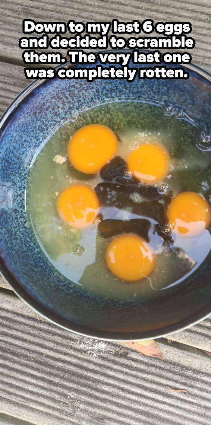 Someone Is Having A Bad Day