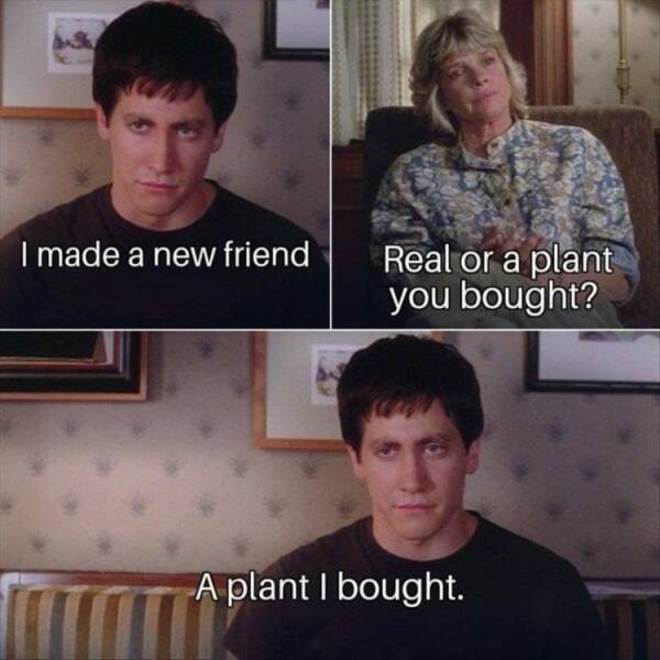 The Art Of Being Single