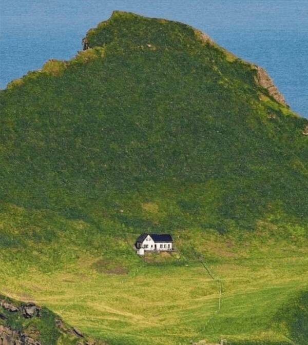 The Art Of Being Single