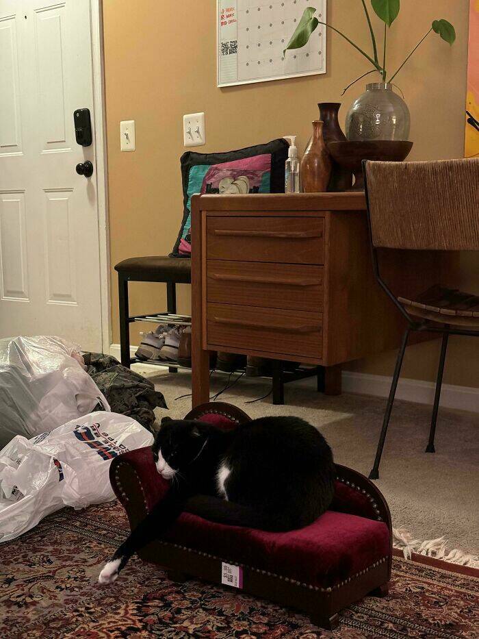 Thrift Store Treasures That Turned Out To Be Absolute Gems