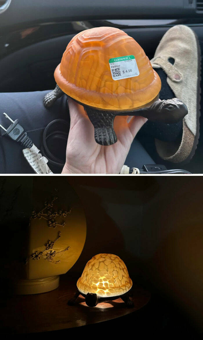 Thrift Store Treasures That Turned Out To Be Absolute Gems