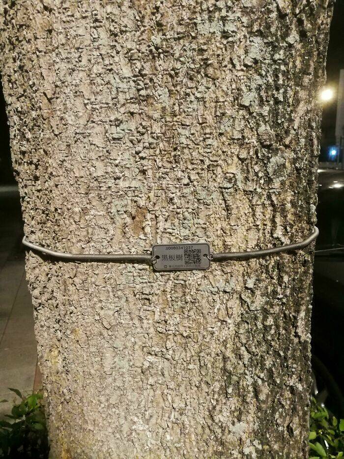 Travelers’ Most Surprising Moments Abroad