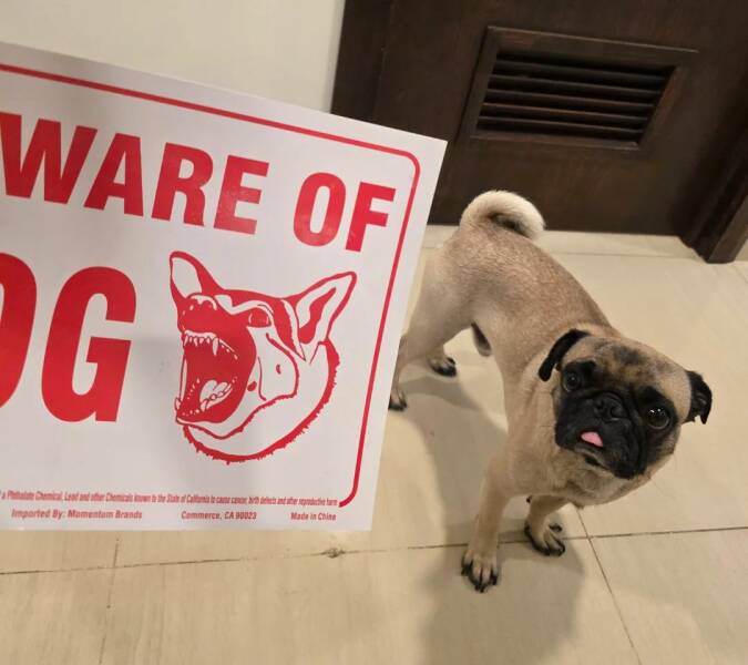 Daily Picdump Daily Picdump