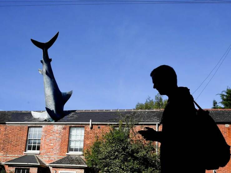 Daily Picdump Daily Picdump