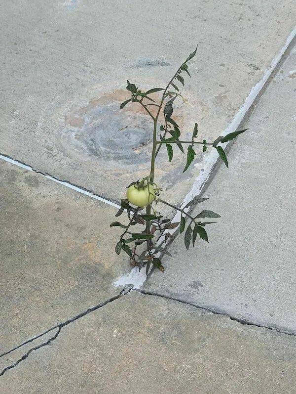 Daily Picdump Daily Picdump