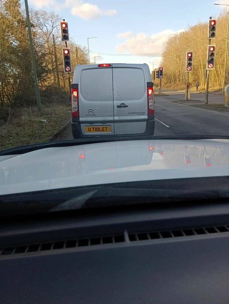 Daily Picdump Daily Picdump