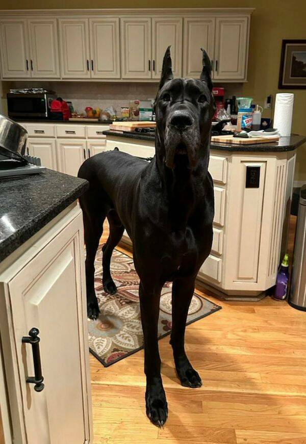 Daily Picdump Daily Picdump