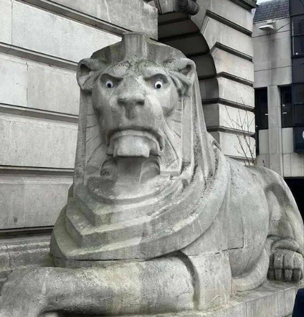 Daily Picdump Daily Picdump