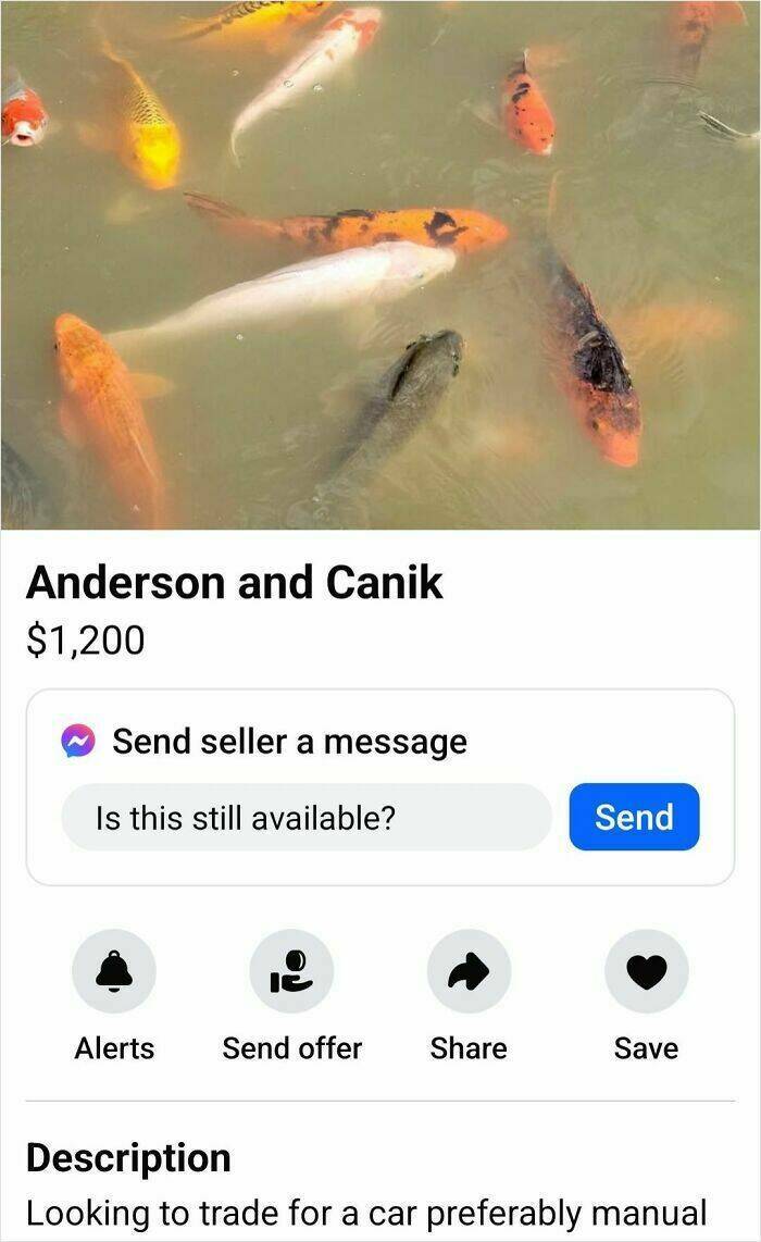 Hilarious Clueless Moments From Facebook Marketplace