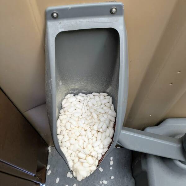 Random Things That Are Just Mildly Fascinating