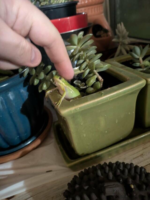 Random Things That Are Just Mildly Fascinating