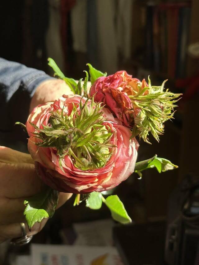 Random Things That Are Just Mildly Fascinating