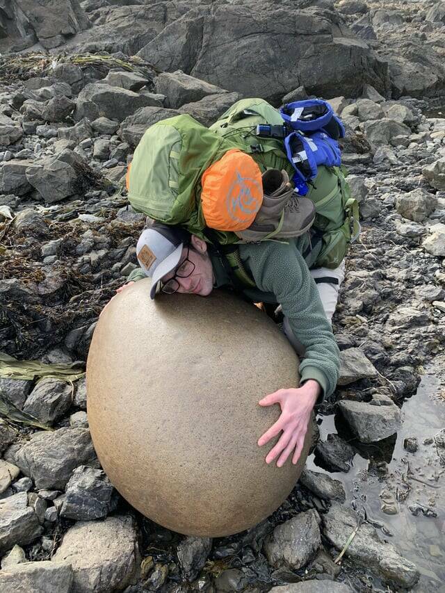 Random Things That Are Just Mildly Fascinating