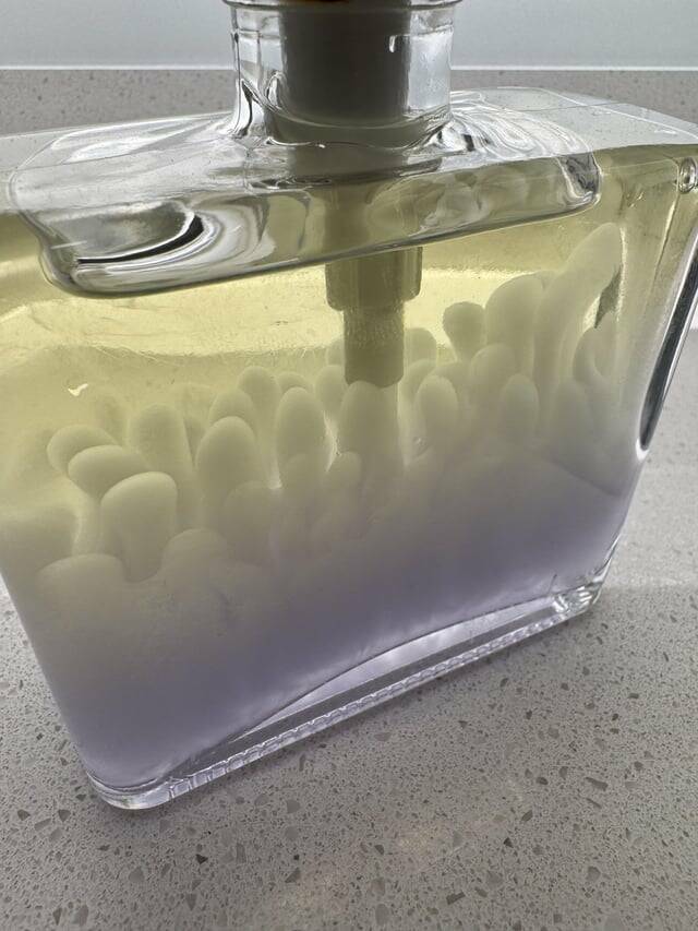 Random Things That Are Just Mildly Fascinating