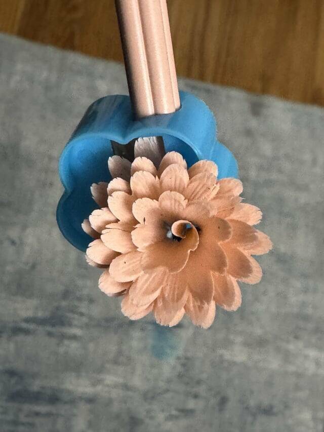 Random Things That Are Just Mildly Fascinating