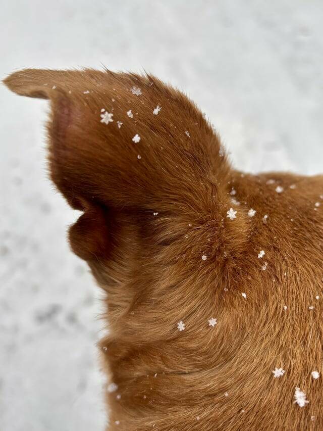 Random Things That Are Just Mildly Fascinating