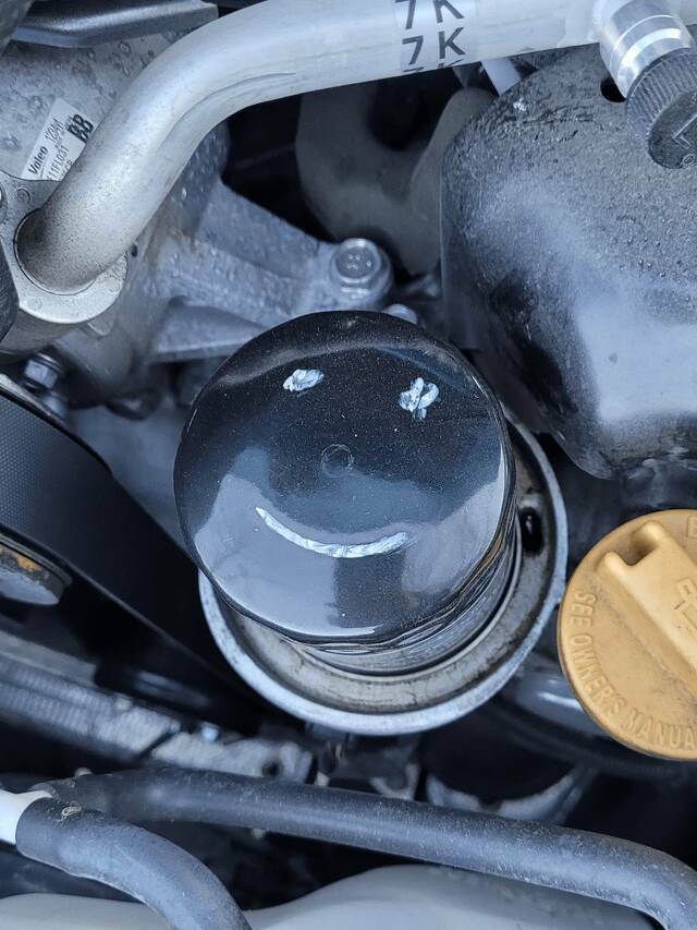 Random Things That Are Just Mildly Fascinating