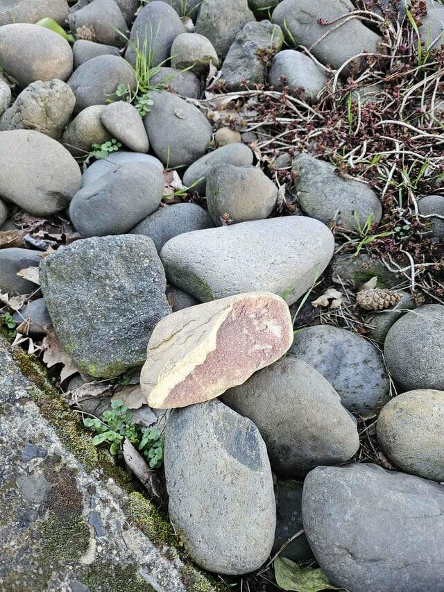 Random Things That Are Just Mildly Fascinating