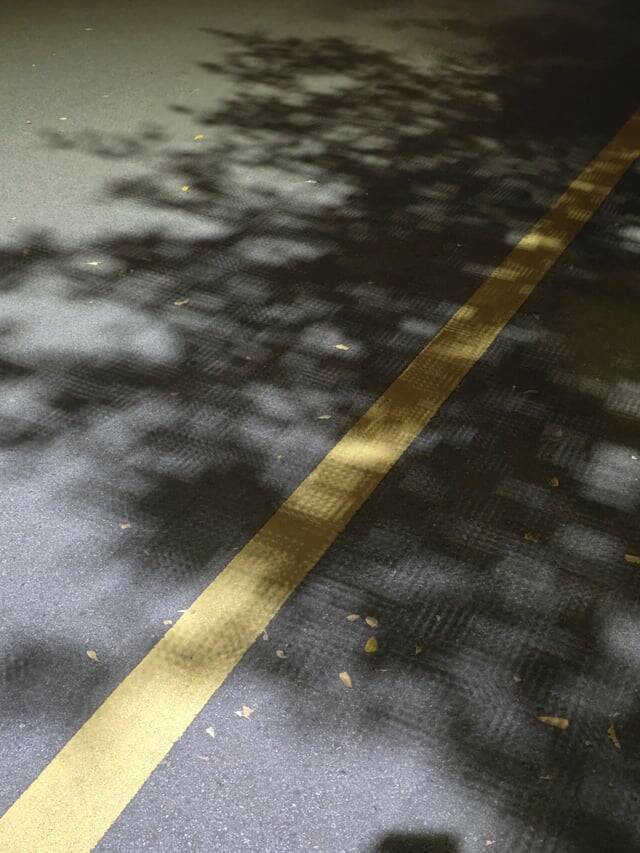 Random Things That Are Just Mildly Fascinating