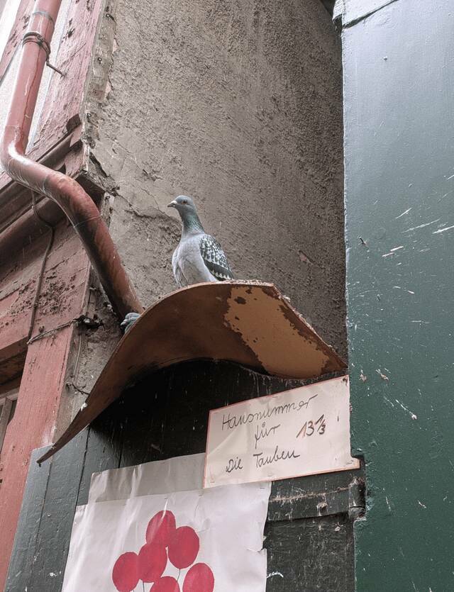 Random Things That Are Just Mildly Fascinating