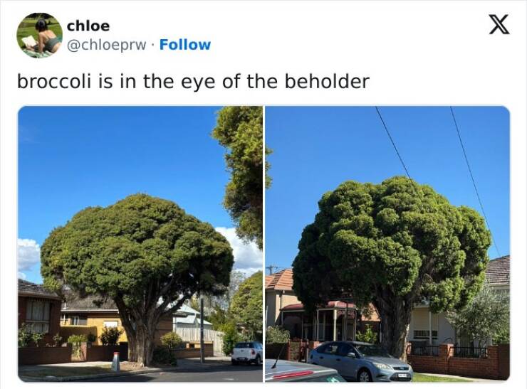 The Most Hilarious Tweets From February The Most Hilarious Tweets From February