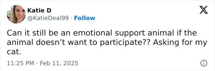 The Most Hilarious Tweets From February The Most Hilarious Tweets From February