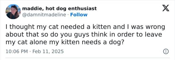 The Most Hilarious Tweets From February The Most Hilarious Tweets From February