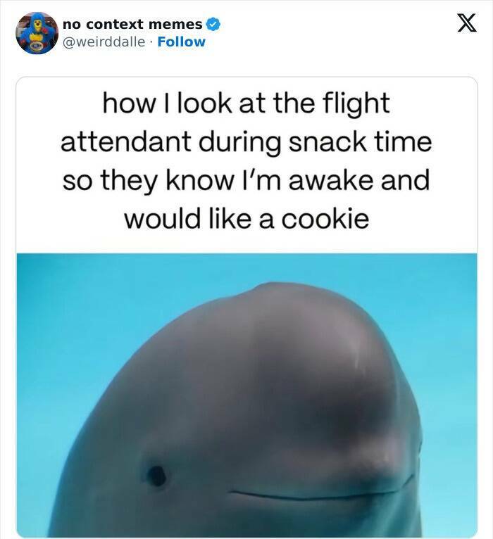 The Most Hilarious Tweets From February The Most Hilarious Tweets From February