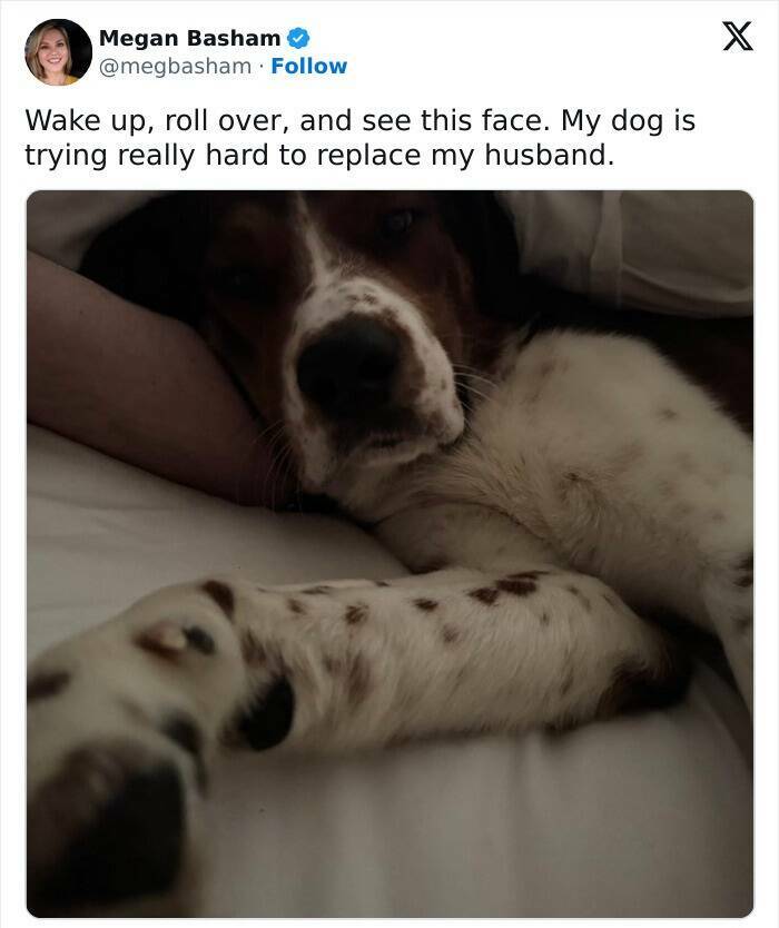 The Most Hilarious Tweets From February The Most Hilarious Tweets From February