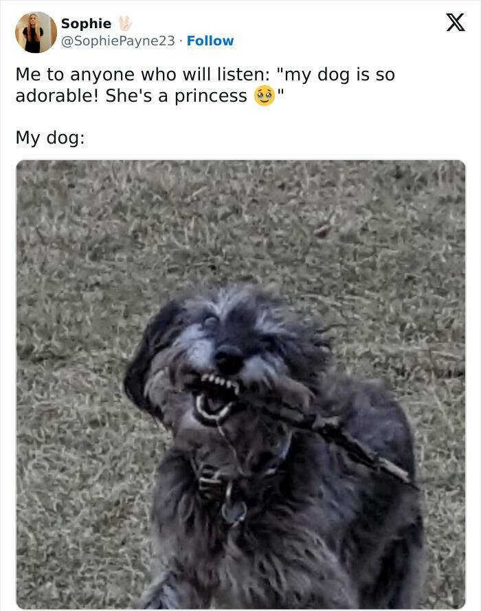 The Most Hilarious Tweets From February The Most Hilarious Tweets From February