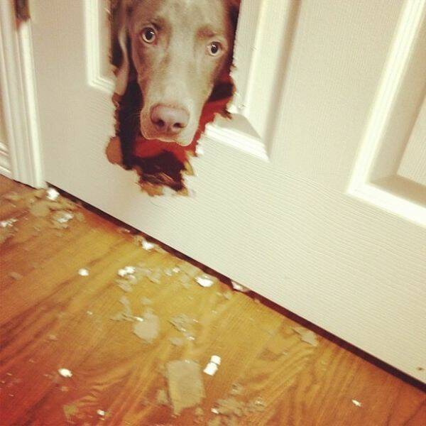 Daily Picdump [WEEKEND EDITION]