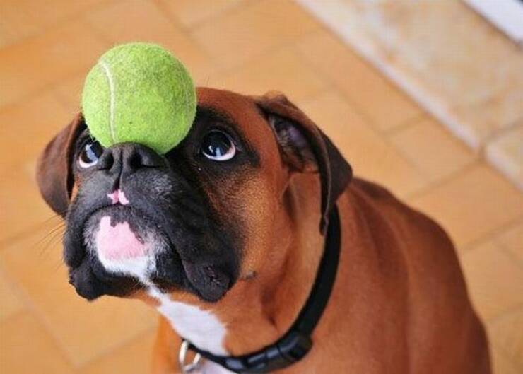 Daily Picdump [WEEKEND EDITION]