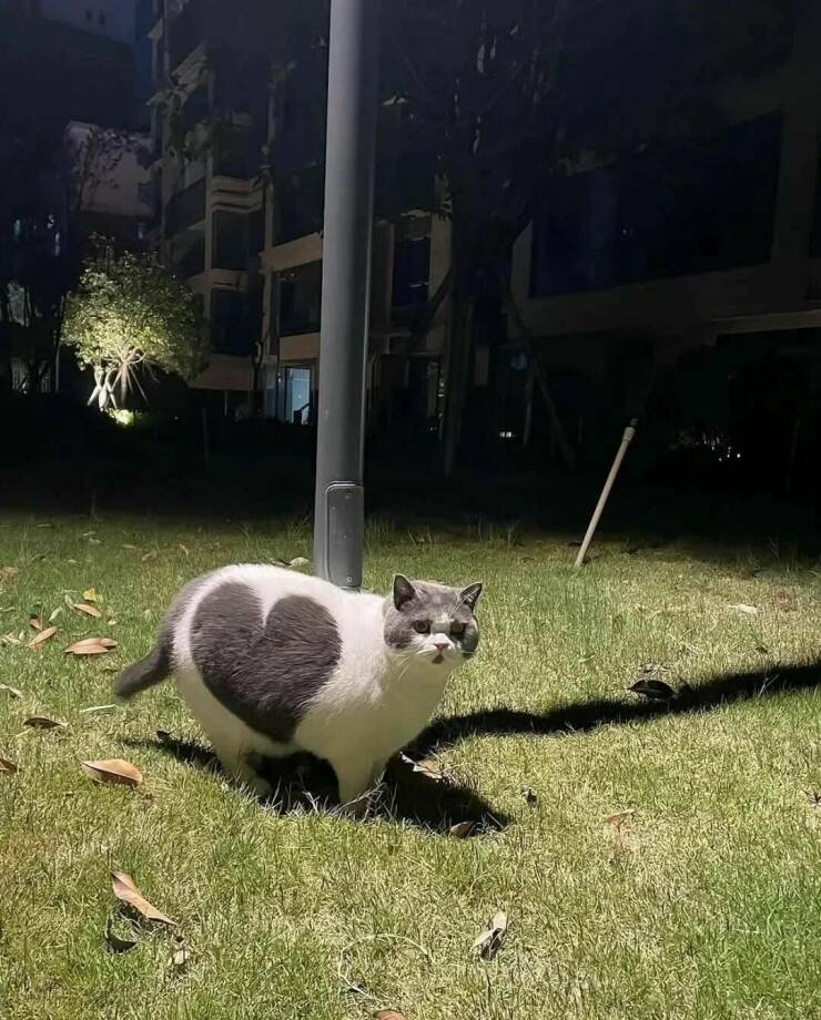 Daily Picdump [WEEKEND EDITION]