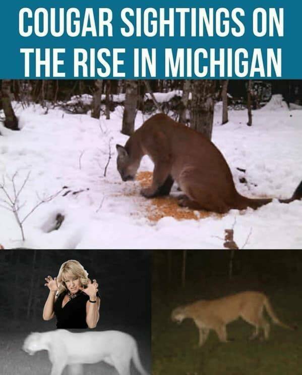 Memes That Capture Midwest Life Perfectly