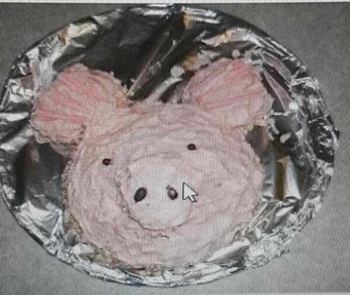 The Great Cake Catastrophe