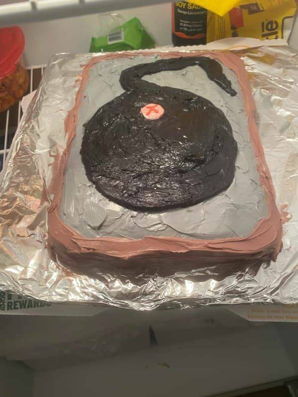 The Great Cake Catastrophe