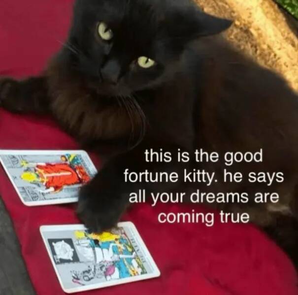 Unstoppable Waves Of Positivity