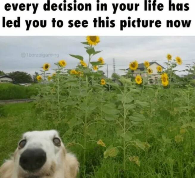 Unstoppable Waves Of Positivity