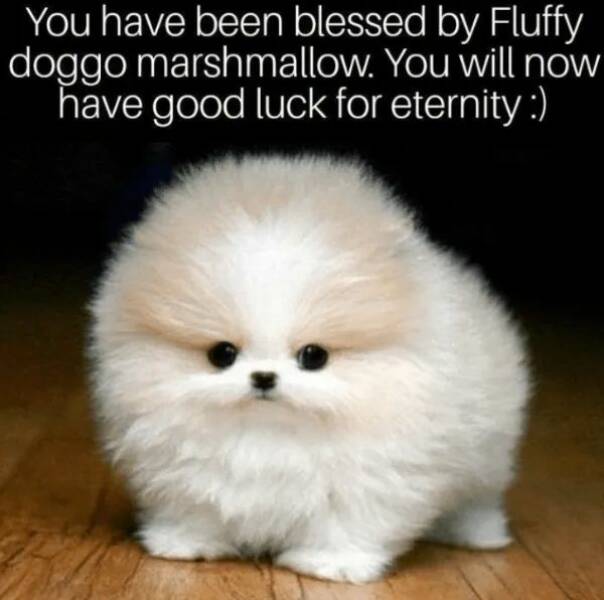 Unstoppable Waves Of Positivity