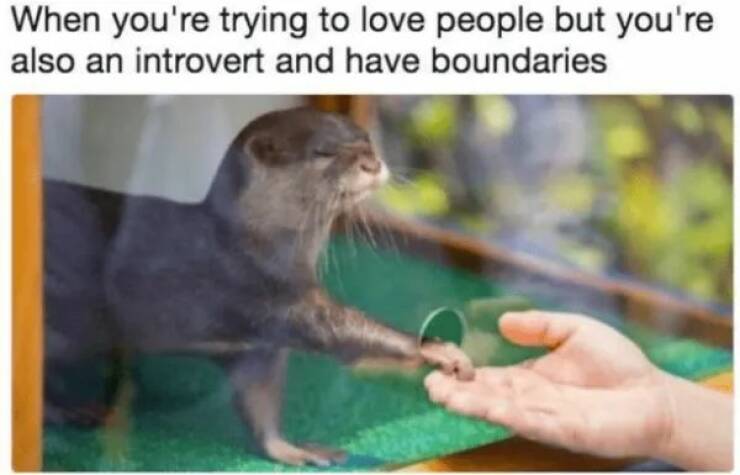 Unstoppable Waves Of Positivity