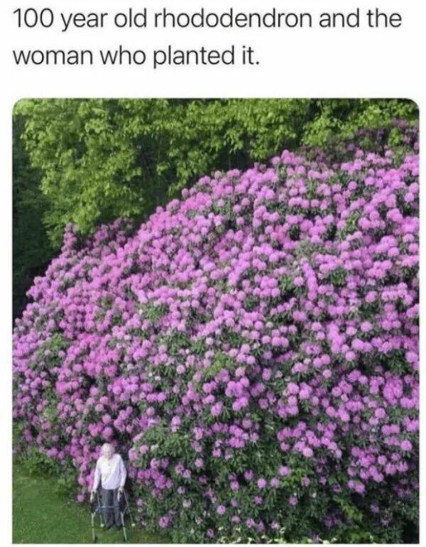 Unstoppable Waves Of Positivity