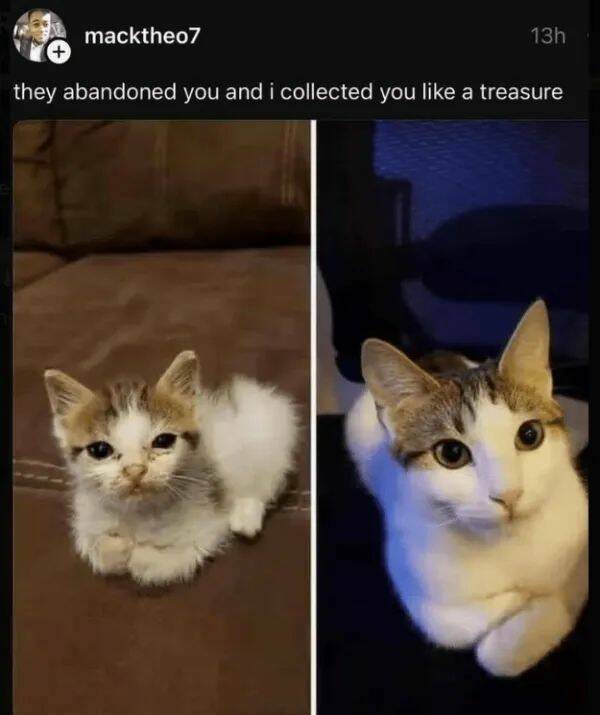 Unstoppable Waves Of Positivity