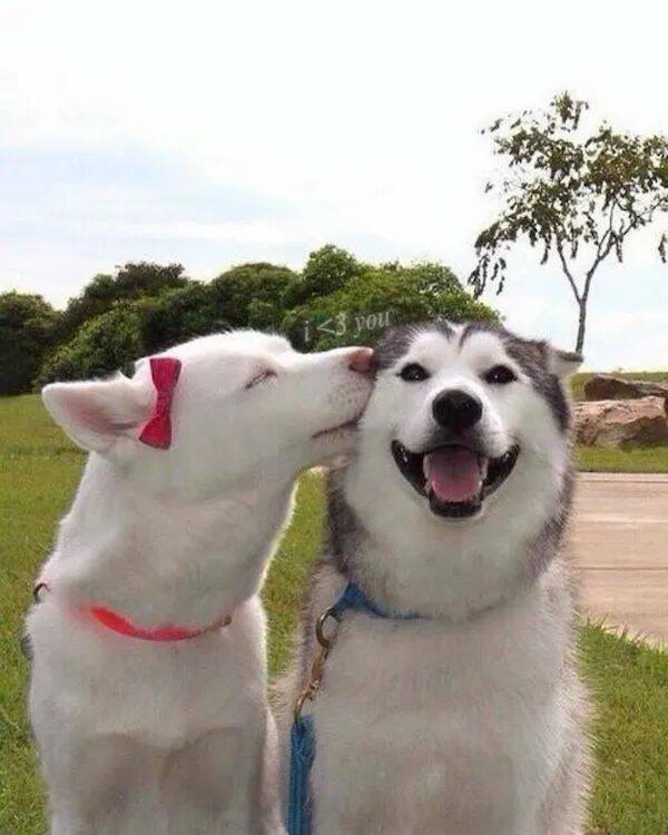 Unstoppable Waves Of Positivity