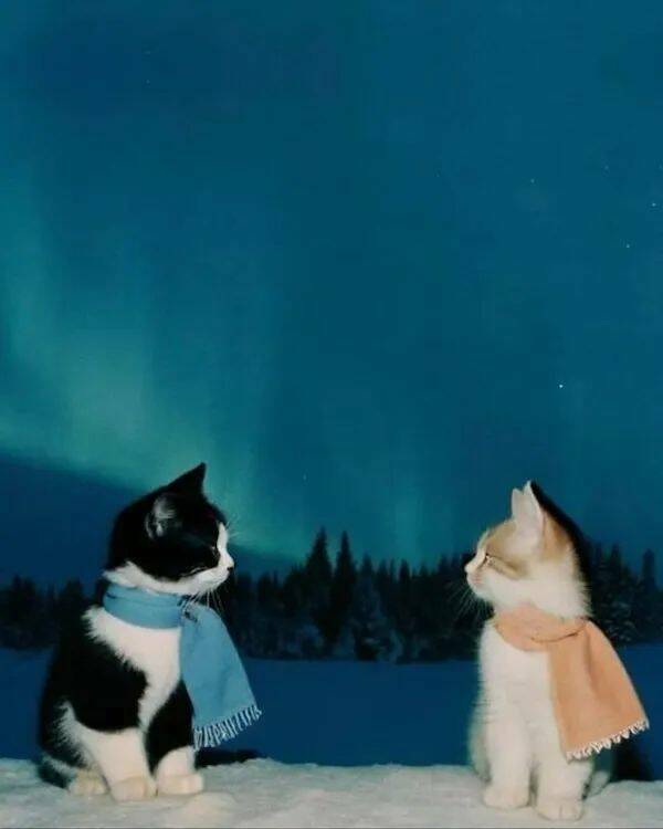 Unstoppable Waves Of Positivity