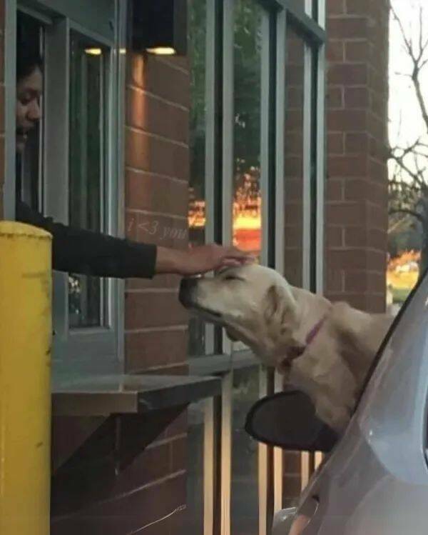 Unstoppable Waves Of Positivity