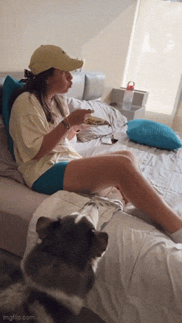 Daily Gifdump [WEEKEND EDITION]